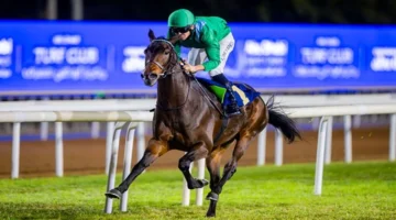 15 خيلاً عربياً يتنافسان في كأس رئيس الدولة للخيول